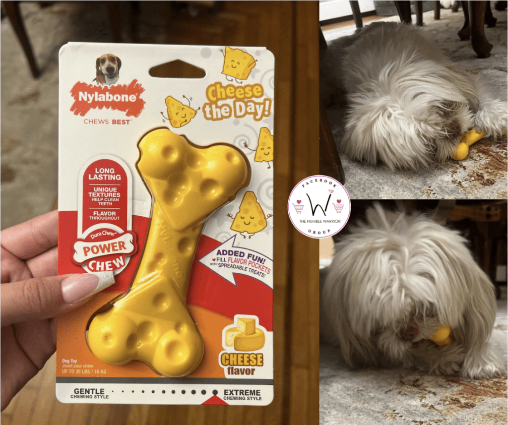 Nylabone Power Chew Cheese Dog Toy!